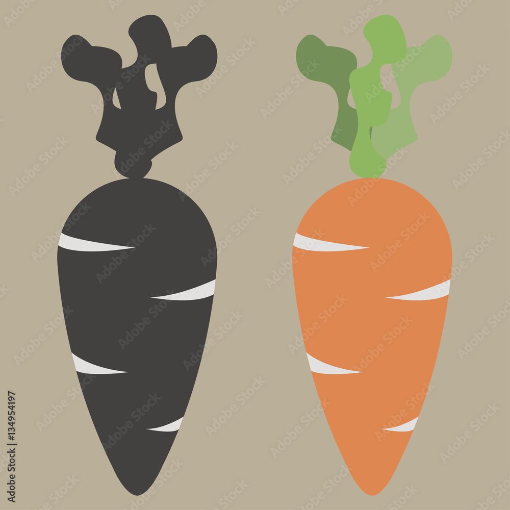Carrot isolated black and color Carrot isolated black and color