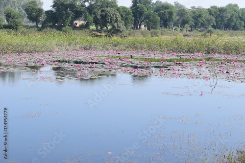 The Telaiya Dam on river Barakar Jhumri-Telaiya, Koderma, Jharkhand