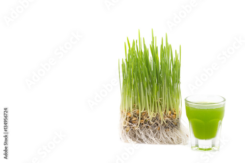 Shot glass of wheat grass