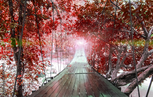 Finish or Goals Line Concept. Lights at The End of Perspective Hanging Wooden Bridge as a Walkway Along with Fantasy Autumn Red Leaves of Trees and over The River in National Park of Ranong, Thatiland