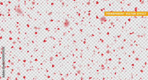 Valentines Day background of red hearts petals falling. Symbol of love for the label gift packages. Flower petal in shape of heart confetti. Decor element for greeting cards. Transparent vector effect