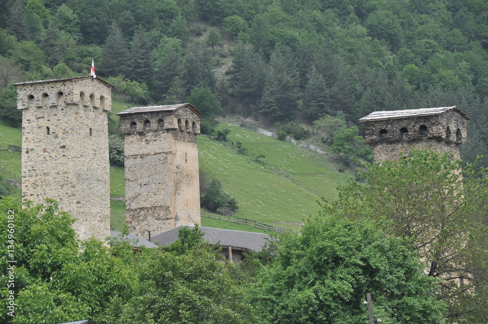 Fototapeta premium Georgia. Swan tower. Residential building defensive in the mountains. Caucasus.