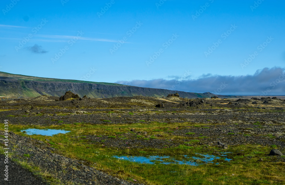 Summer icelandic landscape