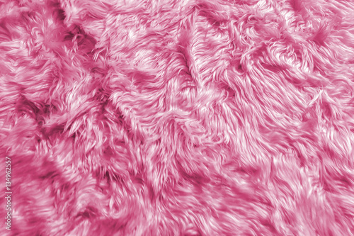 Wool Backgrounds Texture, Closeup of Natural Soft Pink Animal Fluffy Fur Background Texture for Luxury Furniture Material or used as Background Texture as Mock up / Template to input Text
