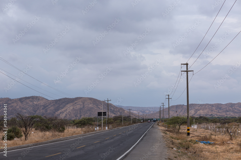 Panamerican highway