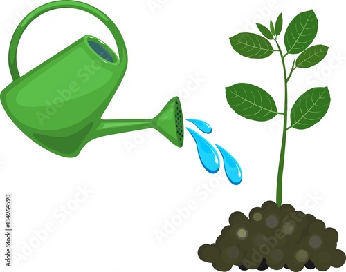 Watering can waters plant