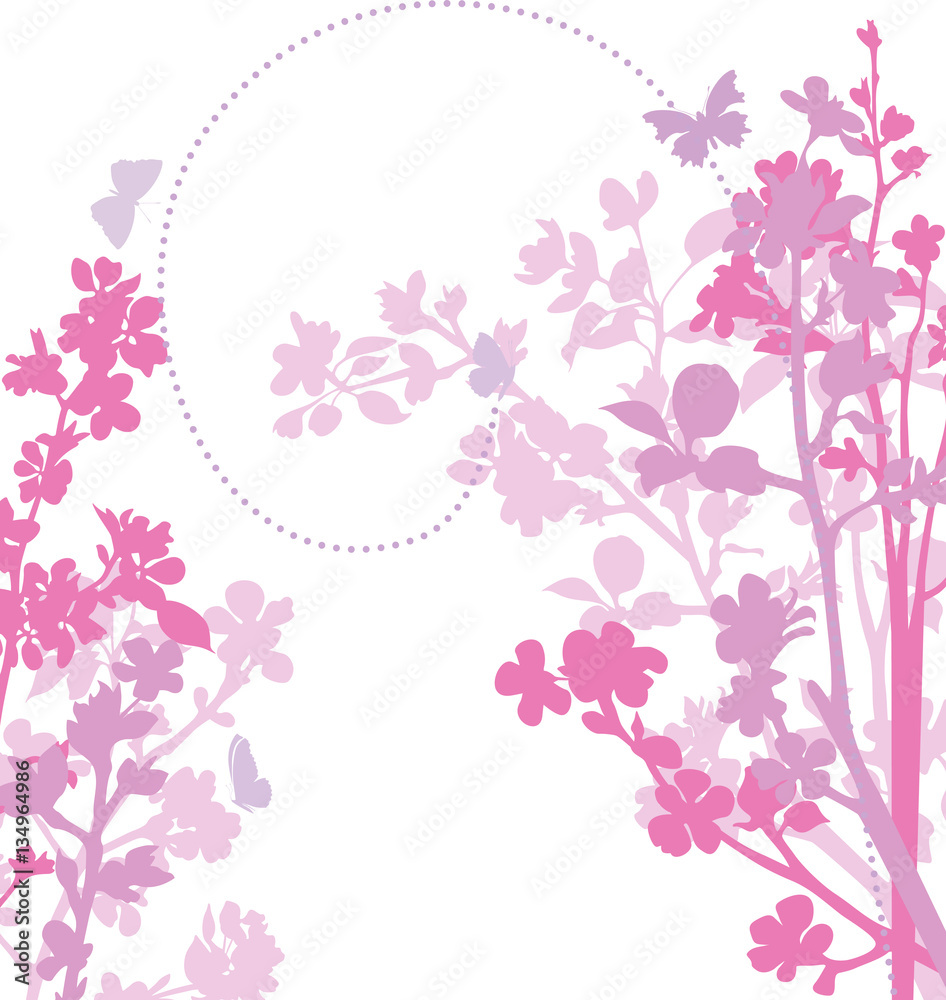 Apple blossom illustration