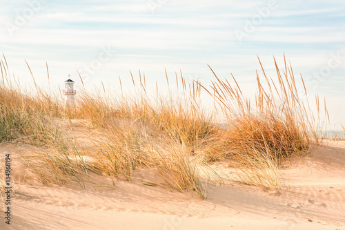 Картината върху платно Beach with lighthouse in the background