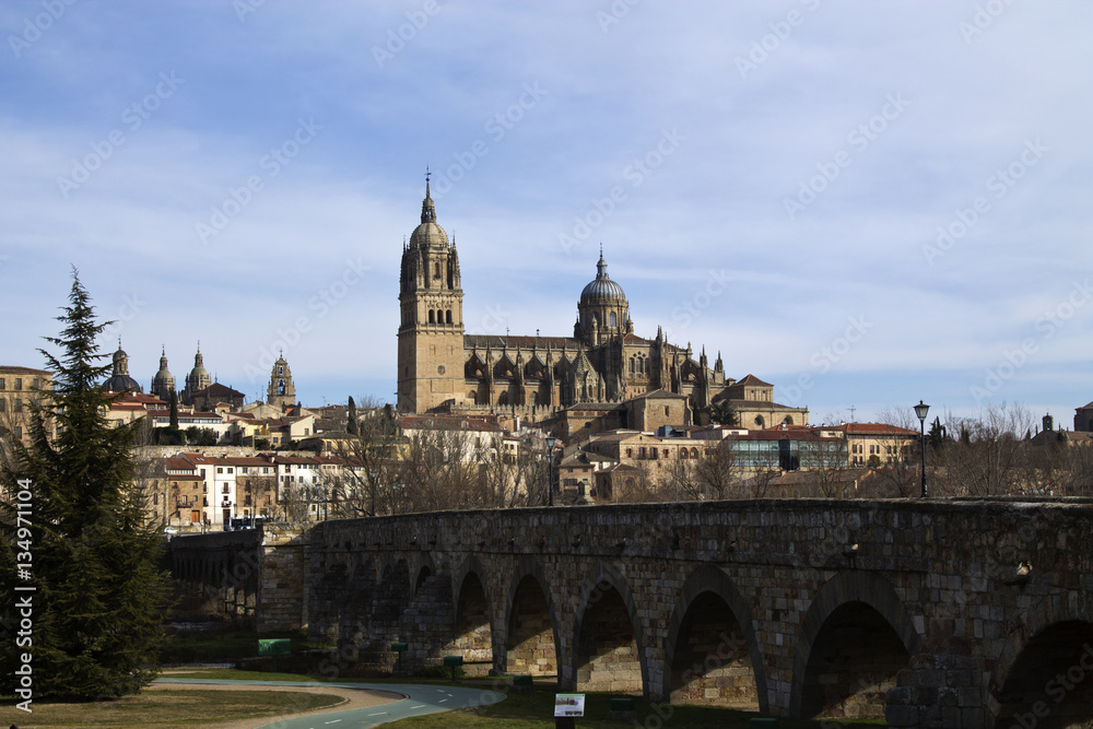Roman bridge and cathedral in Salamanca, Spain Roman bridge and cathedral in Salamanca, Spain