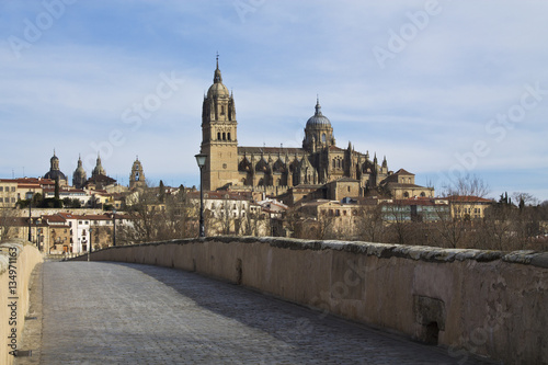 Roman bridge and cathedral in Salamanca, Spain photo