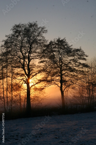 Sonnenuntergang mit Nebel