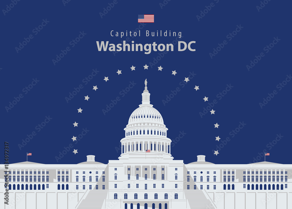 custom made wallpaper toronto digitalVector illustration Capitol Building in Washington DC