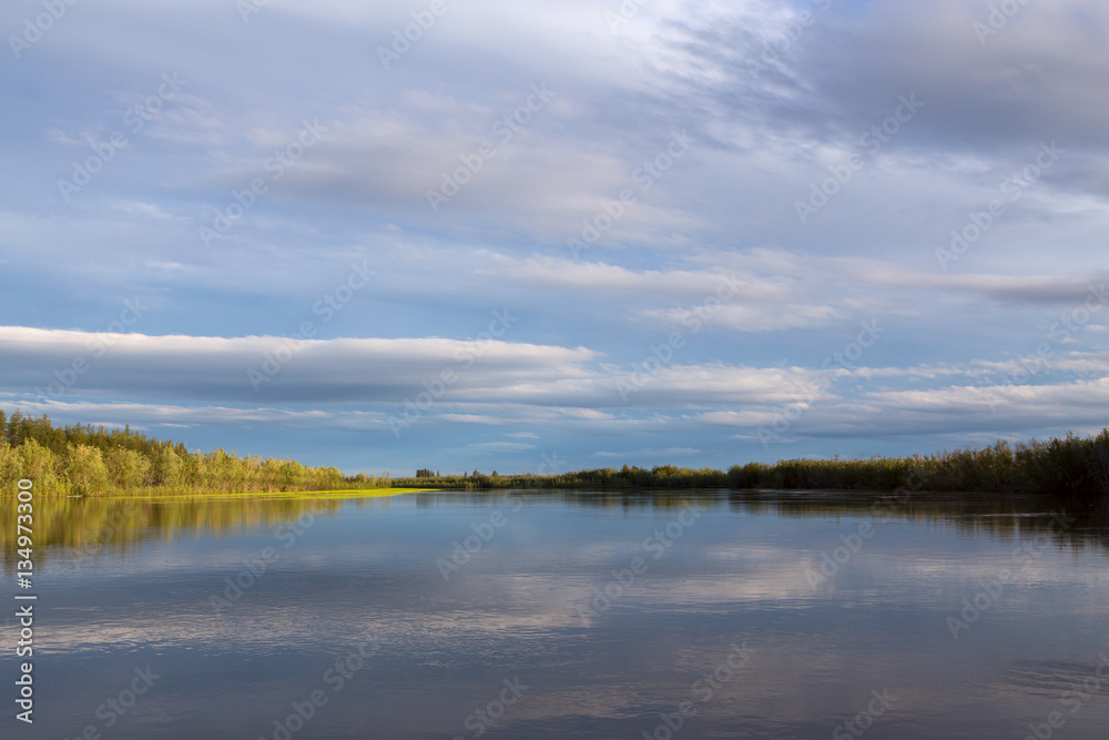 The coastline to the wood between the sky and the river. Indigirka River. Yakutia. Russia. The coastline to the wood between the sky and the river. Indigirka River. Yakutia. Russia.