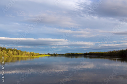 The coastline to the wood between the sky and the river. Indigirka River. Yakutia. Russia.