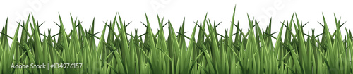 Seamless background design with green grass