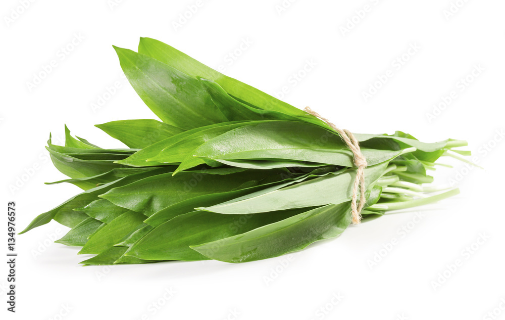 A bunch of wild garlic leaves on a white background A bunch of wild garlic leaves on a white background