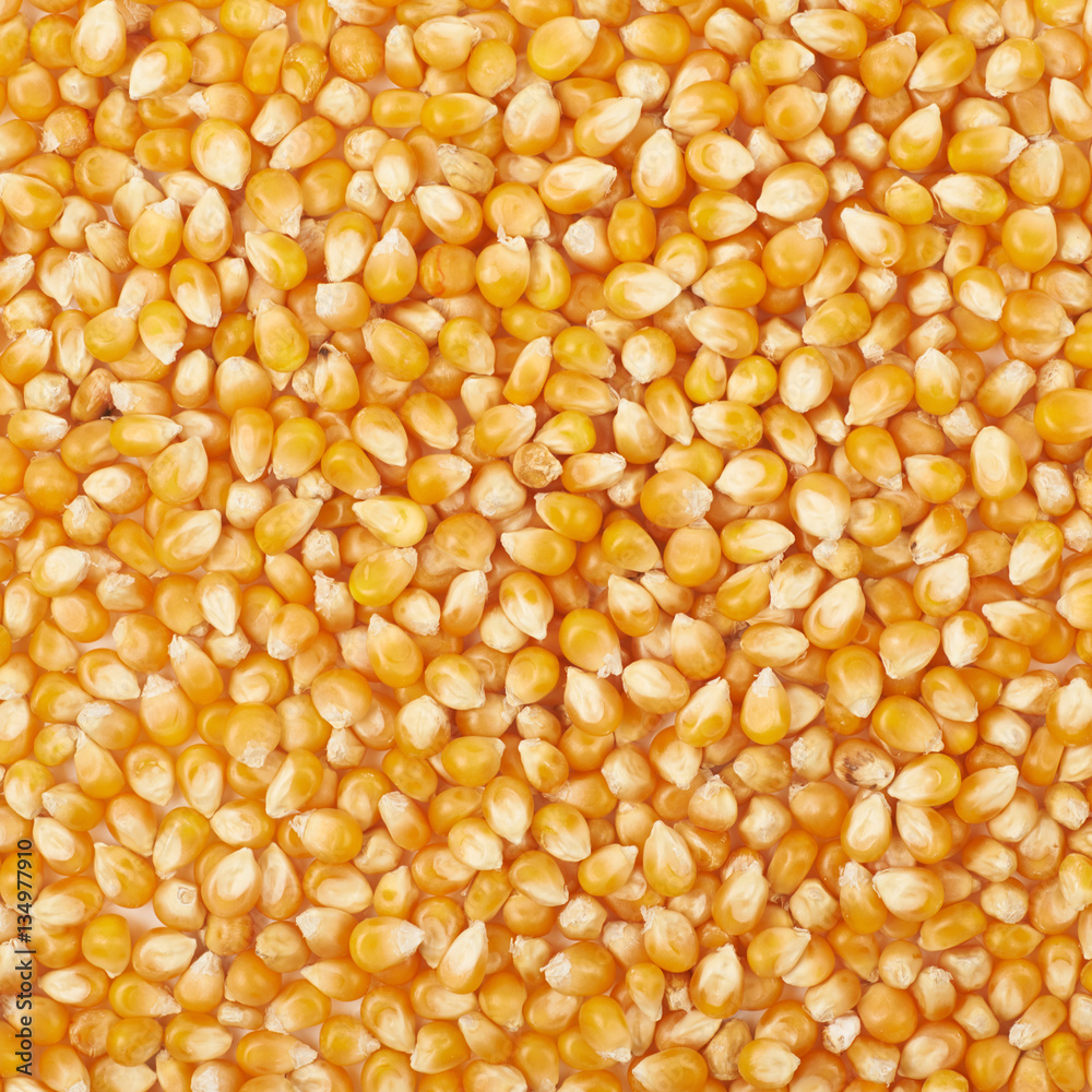 Surface coated with corn kernels Surface coated with corn kernels