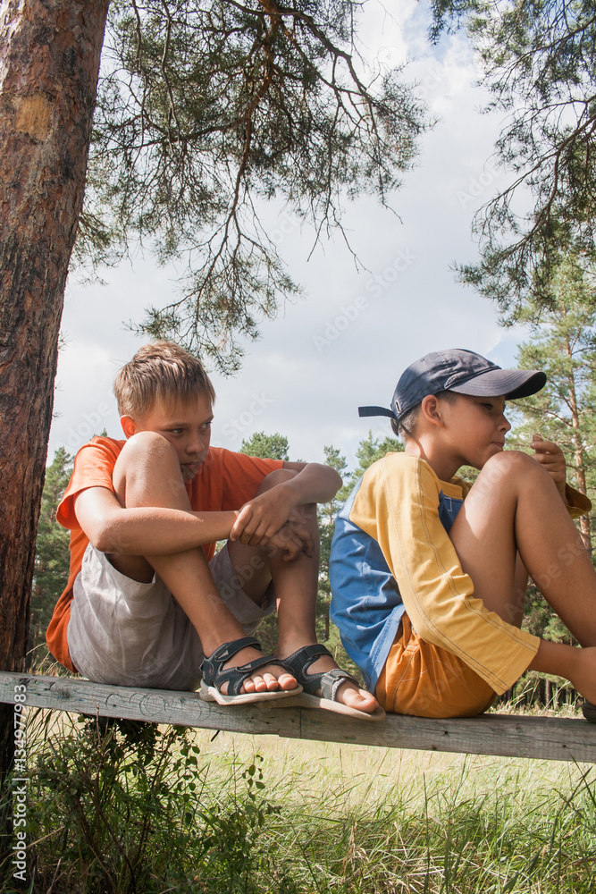 Two young boys sitting on a bench under a tree. two boys in the woods ...