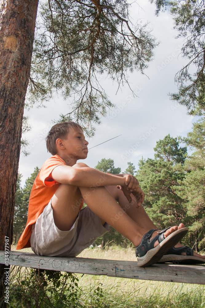 young boy sitting on a bench under a tree. boy in the woods. boy in shorts  Stock Photo | Adobe Stock