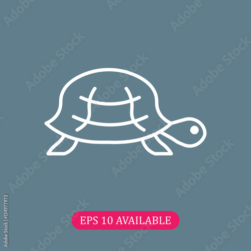 Turtle icon vector