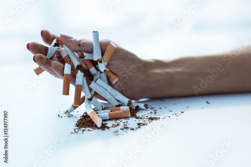Closeup Of Female Hand Holding Cigarettes. Quit Smoking