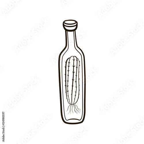 Hand drawing contour bottle with cacti inside icon.Retro vintage illustration on white background