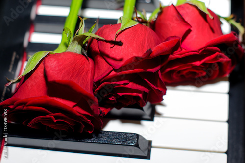 Красные розы лежат на пианино 