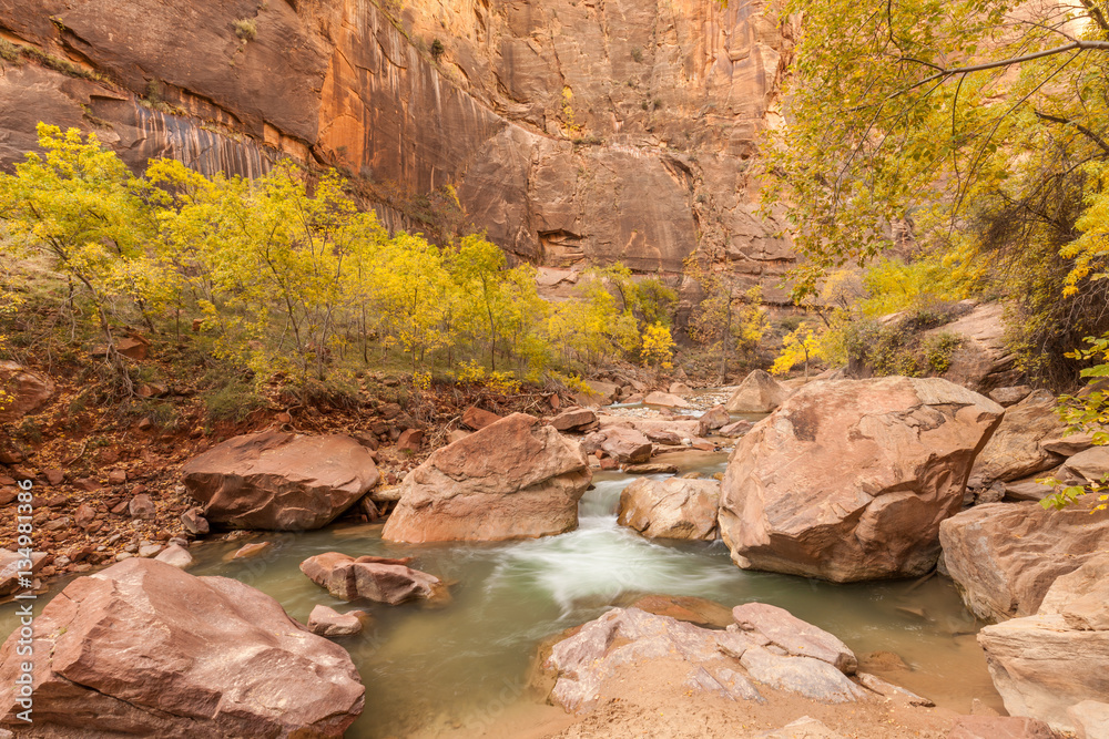 Scenic Virgin River Zion national Park in Fall