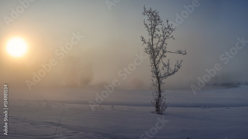Winter misty sunrise on the river. © Виталий Волосевич