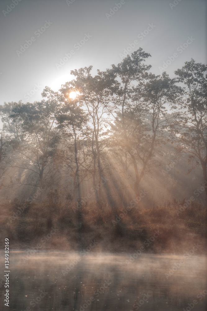 Chitwan National Park Chitwan National Park