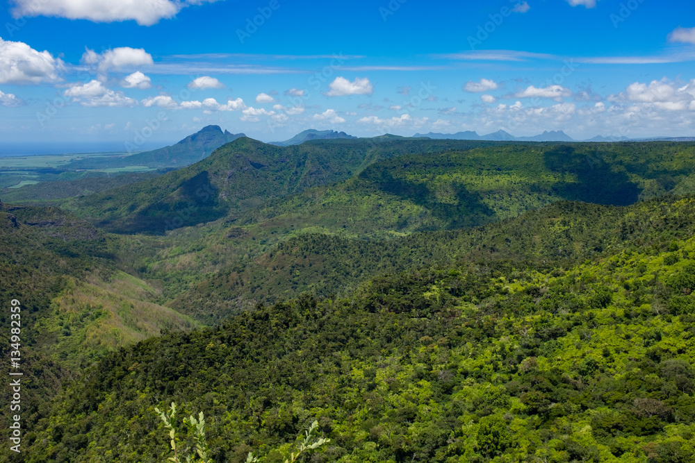 Obraz premium Jungle paradise on Mauritius