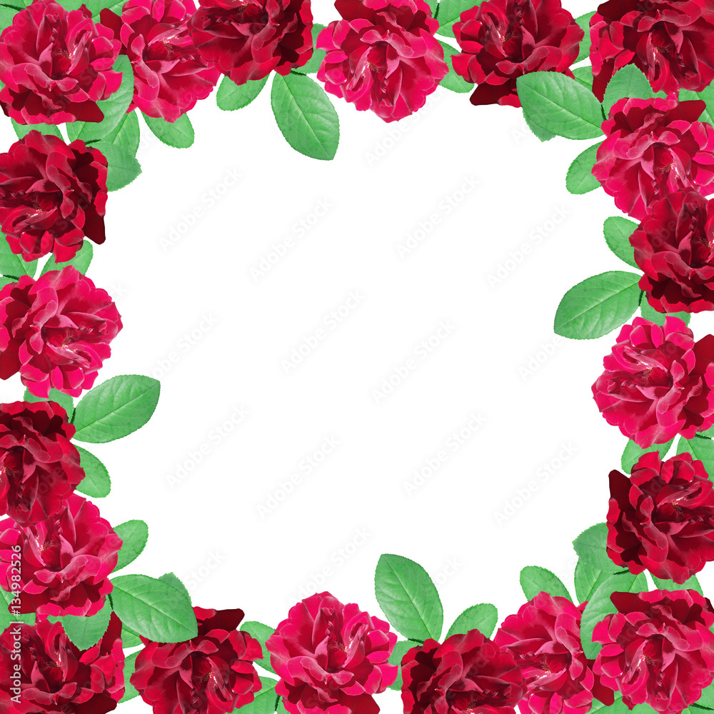 Beautiful floral background of dark red roses Beautiful floral background of dark red roses