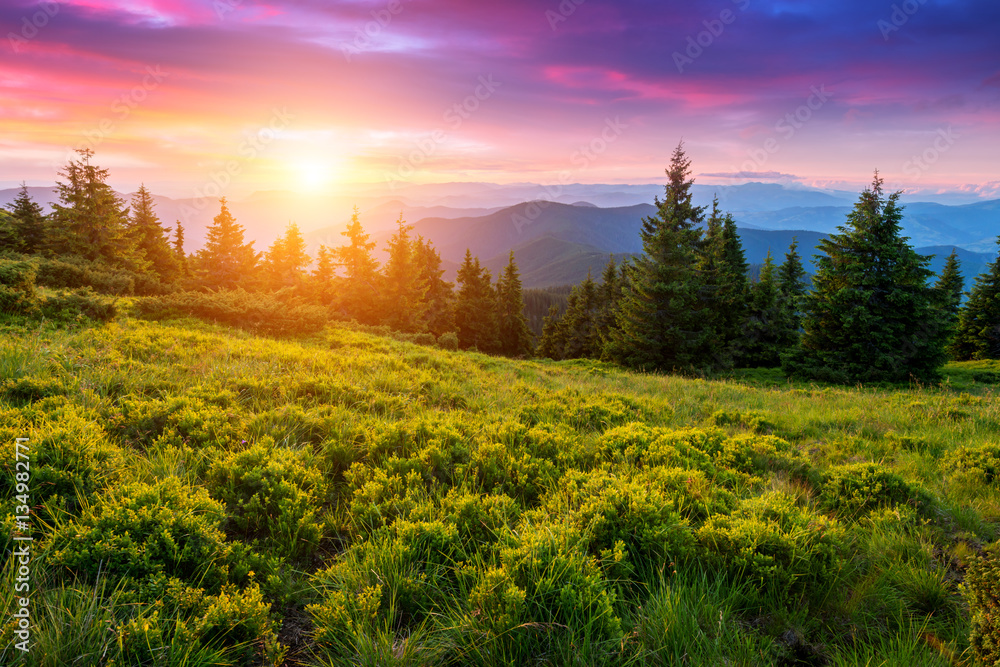 Obraz premium mountain