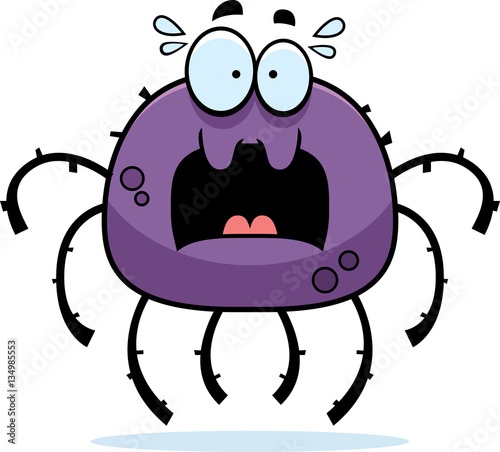 Scared Little Spider