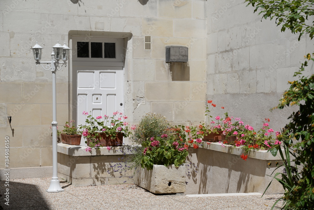 Naklejka premium Tür in Loches, Frankreich
