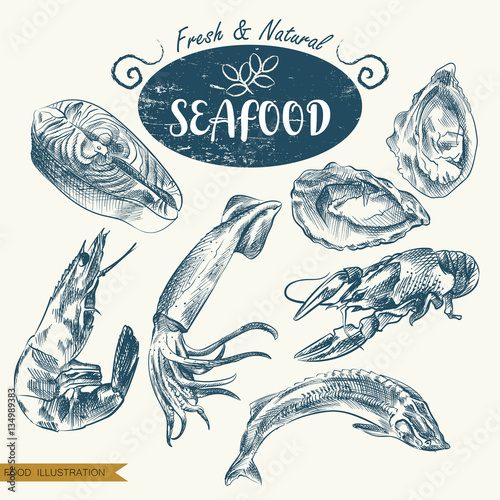 Set of hand drawn seafood isolated on white background. Seafood sketch elements. Retro hand-drawn clams, fish, squid, shrimp, lobster vector illustration. Great for poster, banner, voucher, coupon.