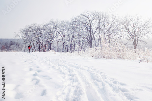 Cross country skier on a trail