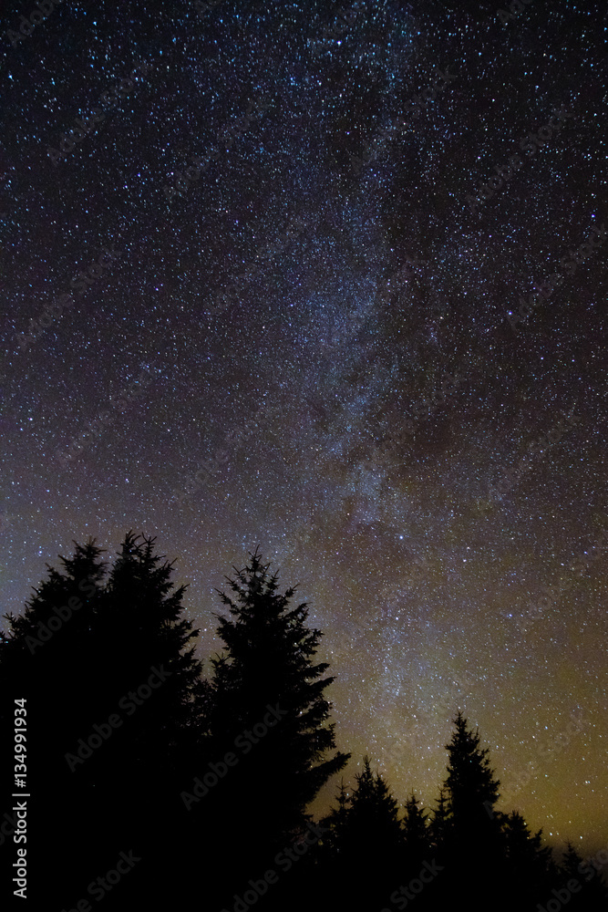 Milky way from forest in the Brecon Beacons National Park. Relatively clear view of the galaxy with coniferous forest silhouette in foreground, in Wales, UK