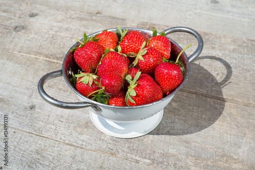 Ripe fresh strawberries in bowl freshly harvested fruits on farm