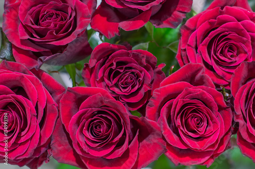 a bouquet of red roses view from above