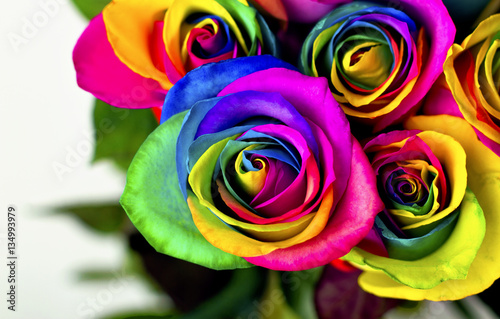 Rainbow roses on white bricks and wood background. Postcard for Valentine's and Mother's day