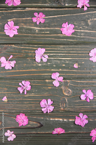 dry pink geranium flowers on a wooden background