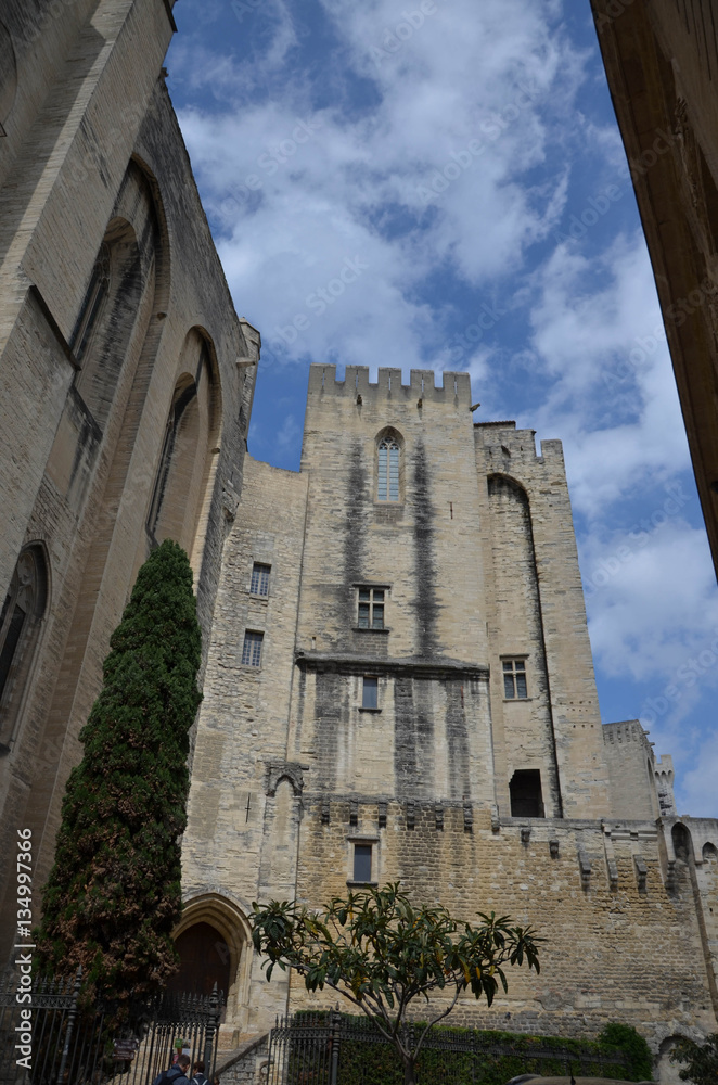 Fototapeta premium Avignon