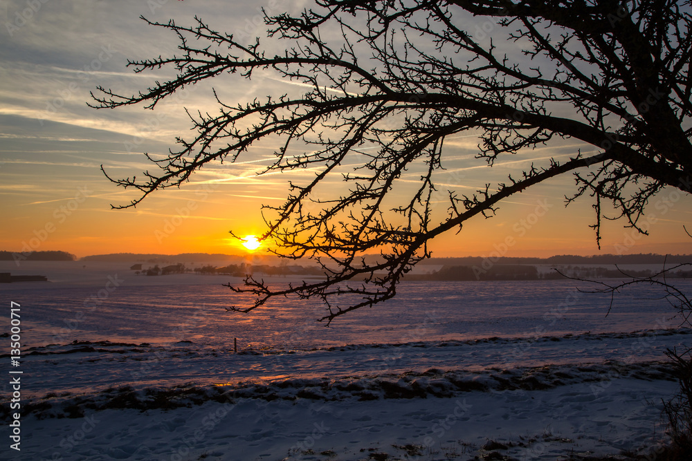 Winter landscape / Sunset in the winter Winter landscape / Sunset in the winter