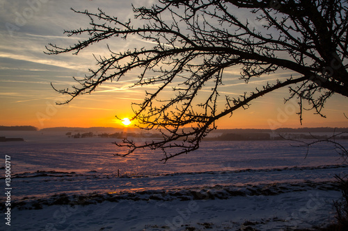 Winter landscape / Sunset in the winter