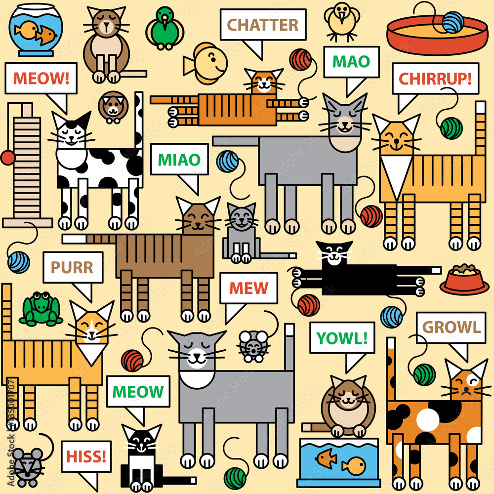 What Cats Say What Cats Say