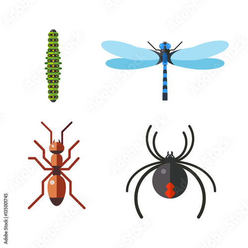 Insect icon flat set isolated on white background