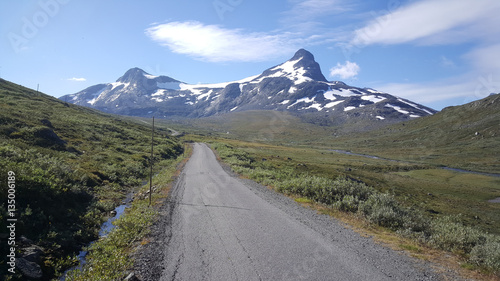 Road through Jotunheimen National Park