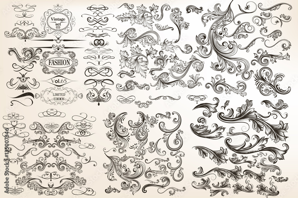 Big collection or set of vector vintage flourishes for design in