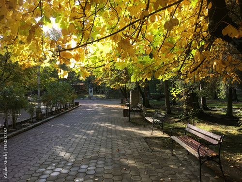 Autumn at Parcul Central photo